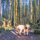 Illustration for article titled Hiking Time